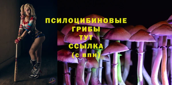 ГАЛЛЮЦИНОГЕННЫЕ ГРИБЫ Алзамай