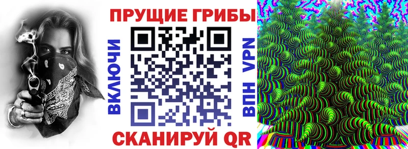 kraken ссылки  Куса  Галлюциногенные грибы Magic Shrooms 